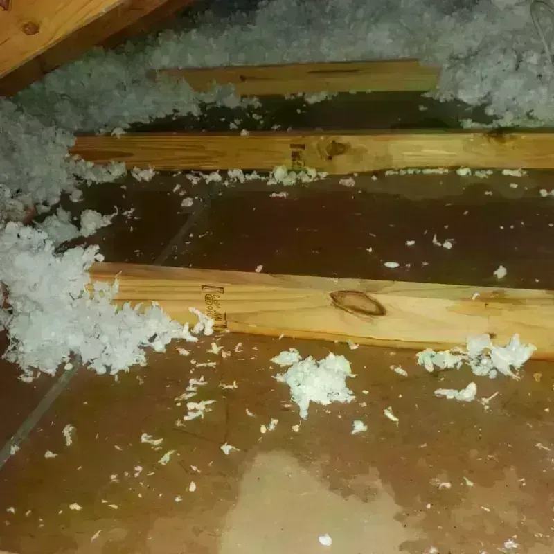 Attic Water Damage in Pinebluff, NC